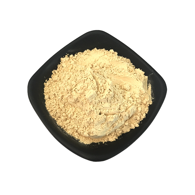 پودر سیر کم آب